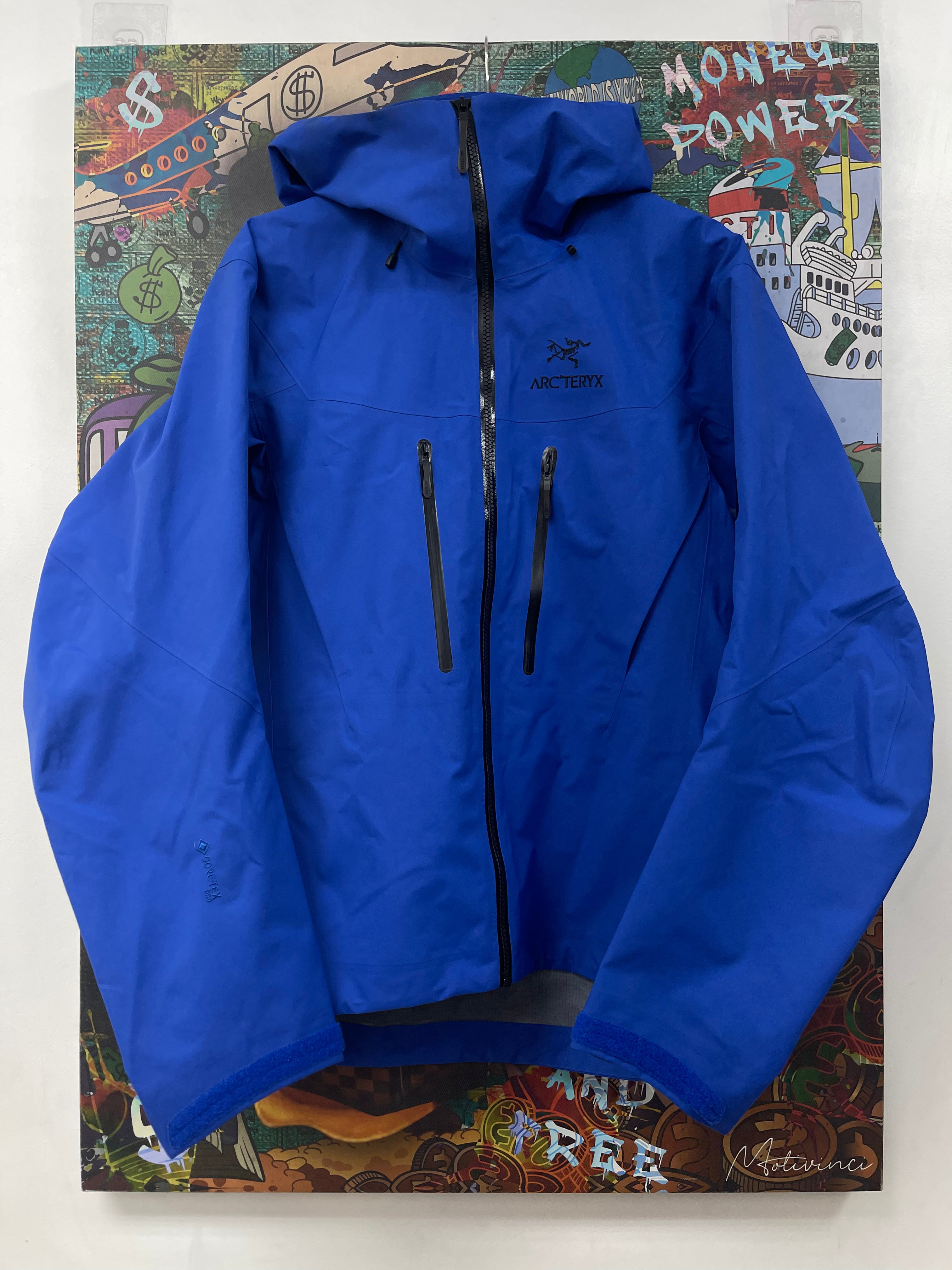 Arcteryx Blue Alpha SV Jacket