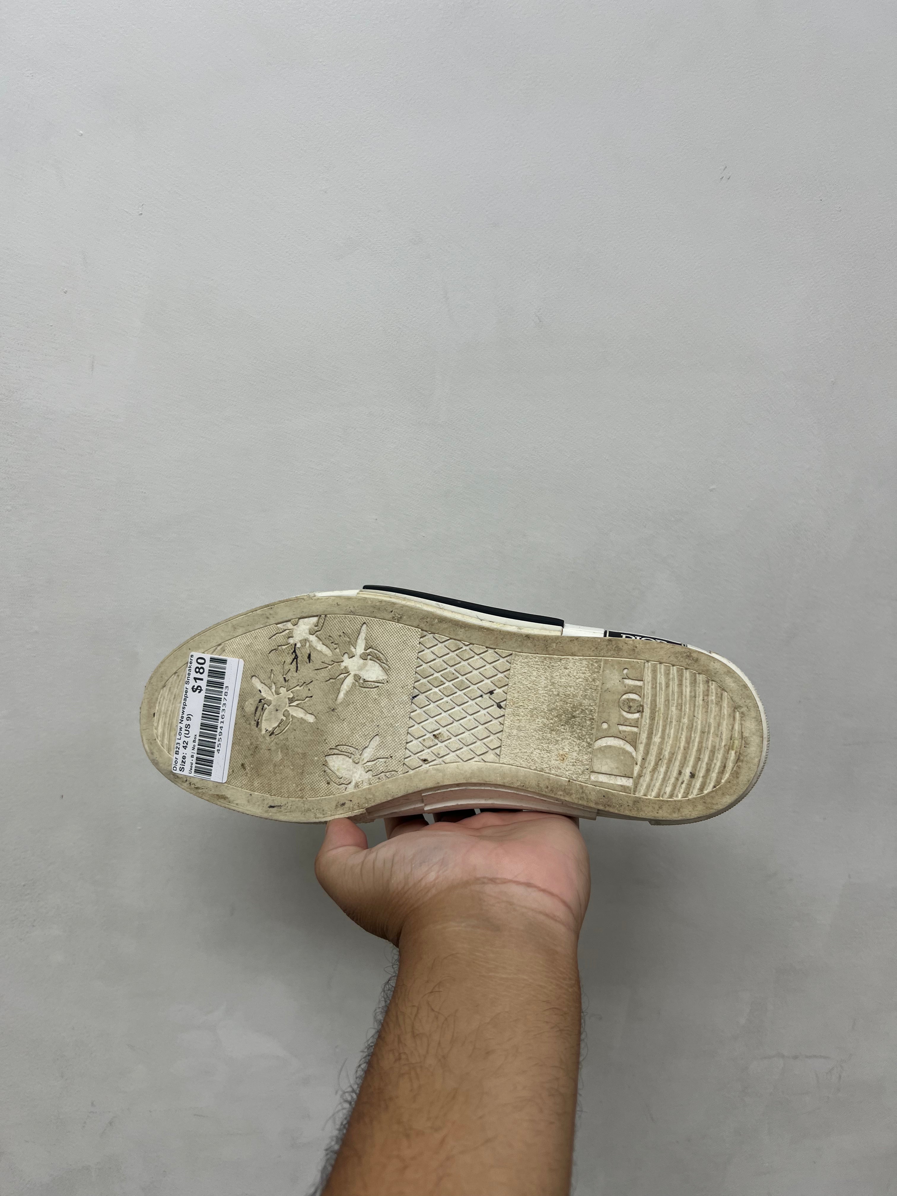 Dior B23 Low Newspaper Sneakers