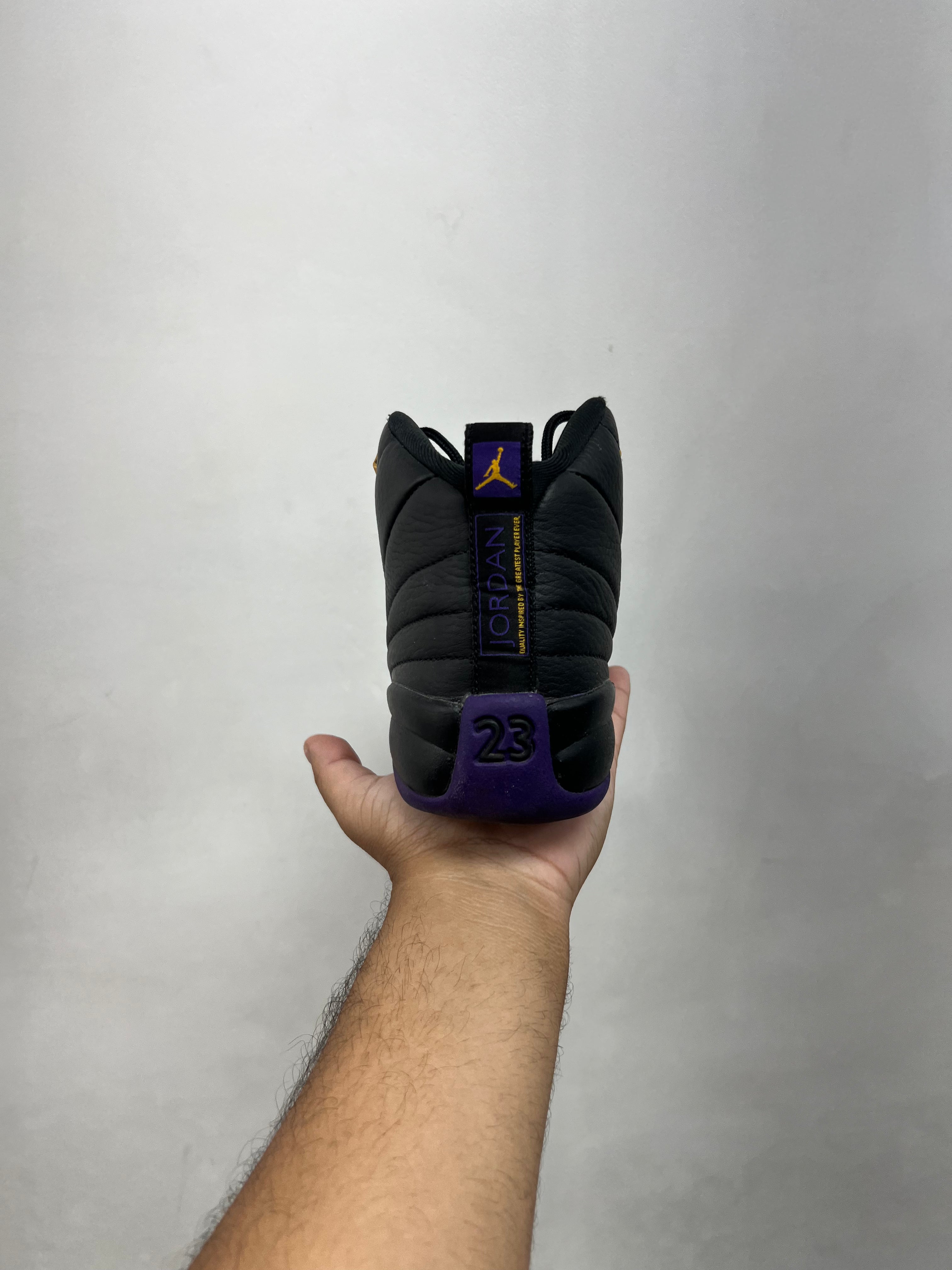 Jordan 12 Court Purple Sneakers