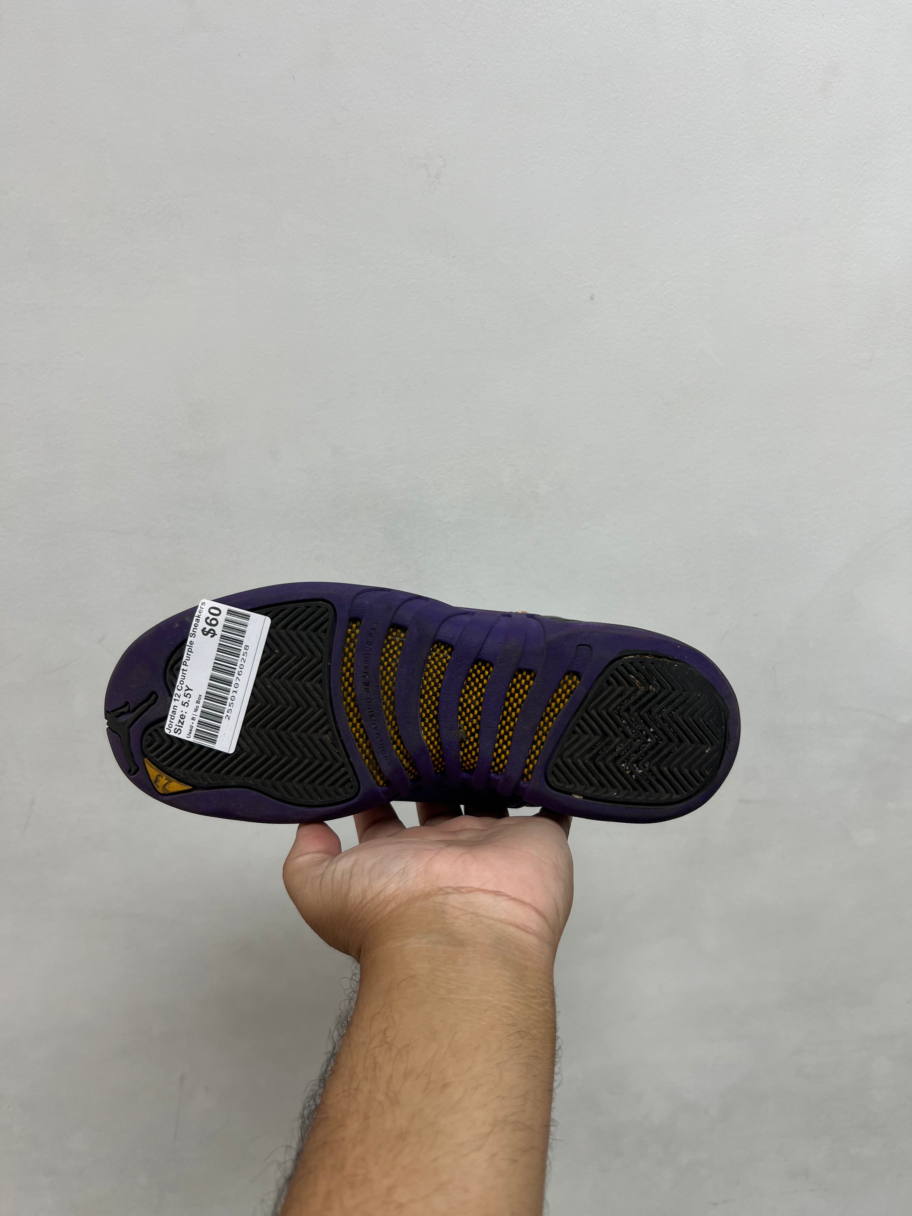 Jordan 12 Court Purple Sneakers