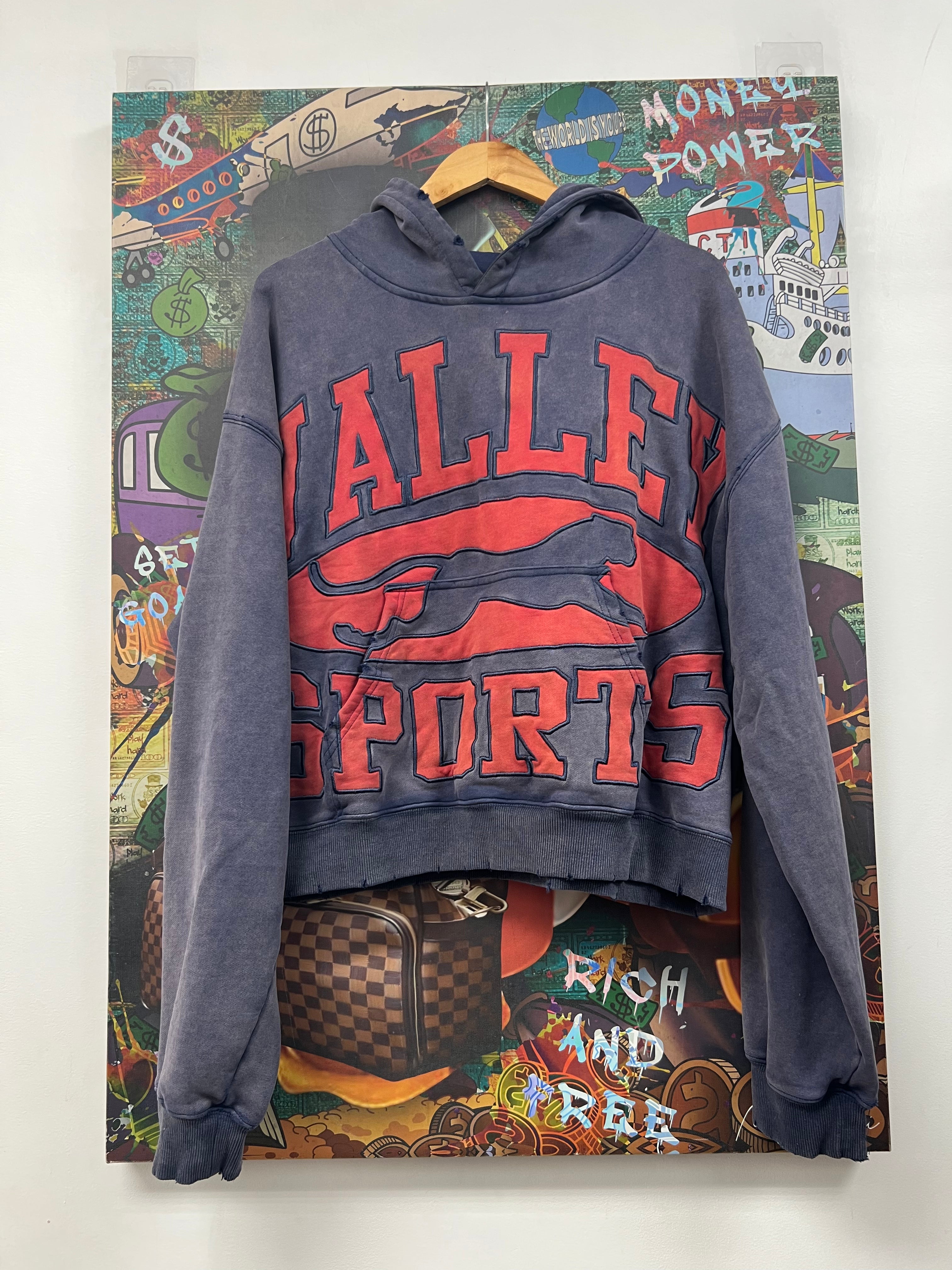 Vale Navy Red Logo Hoodie