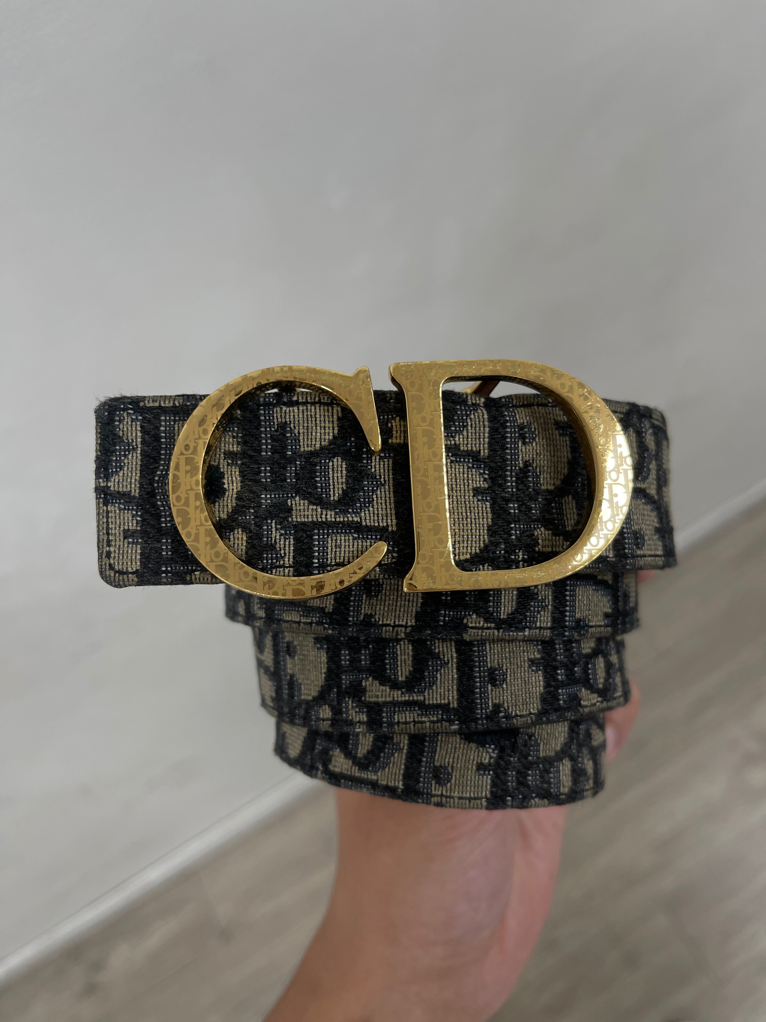 Dior Oblique Monogram Gold Buckle Belt