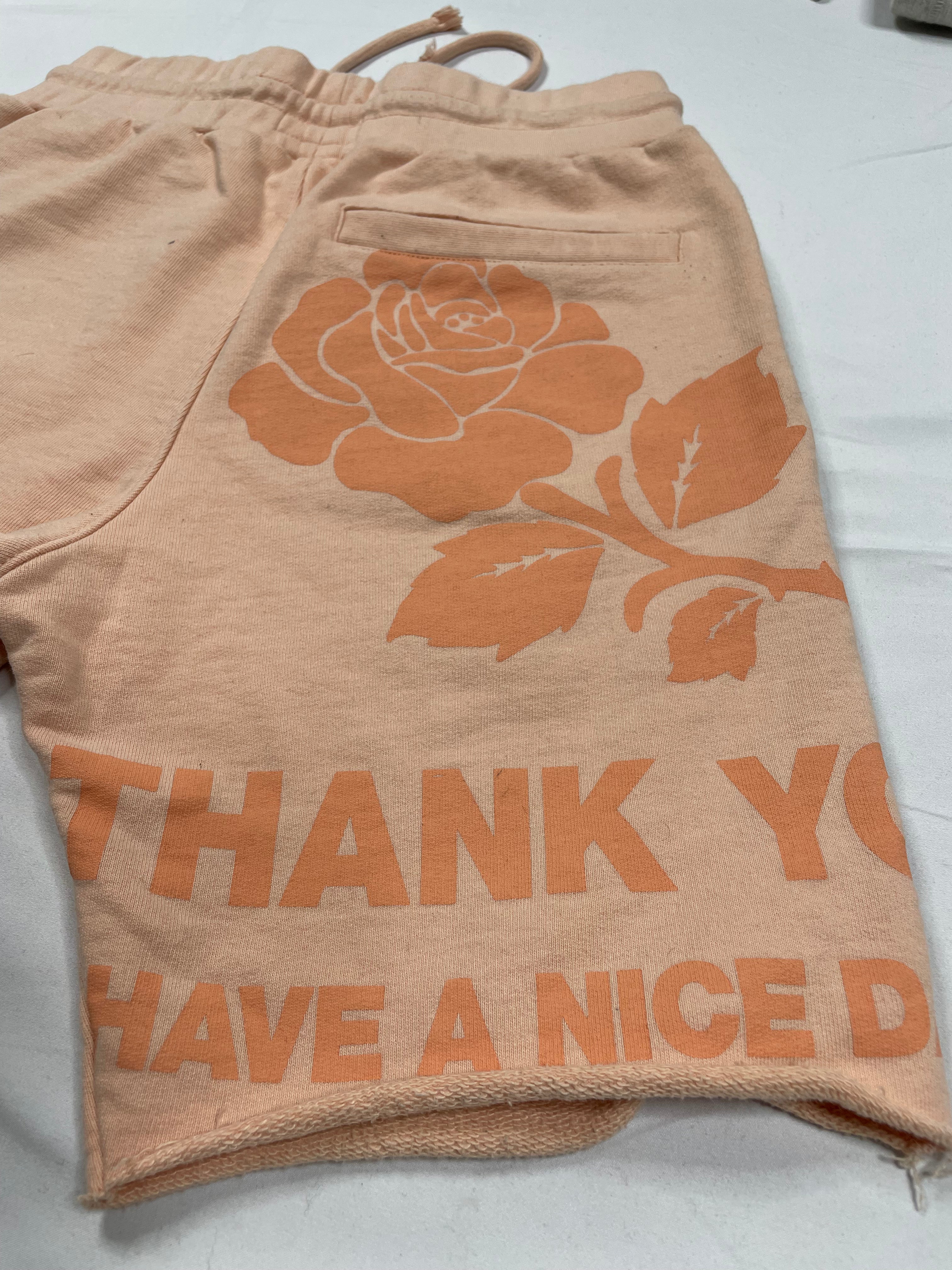 Chinatown Market Shorts Peach Small Used
