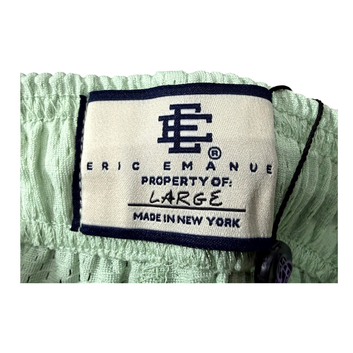 Eric Emanuel Bolt Mint & Purple Shorts