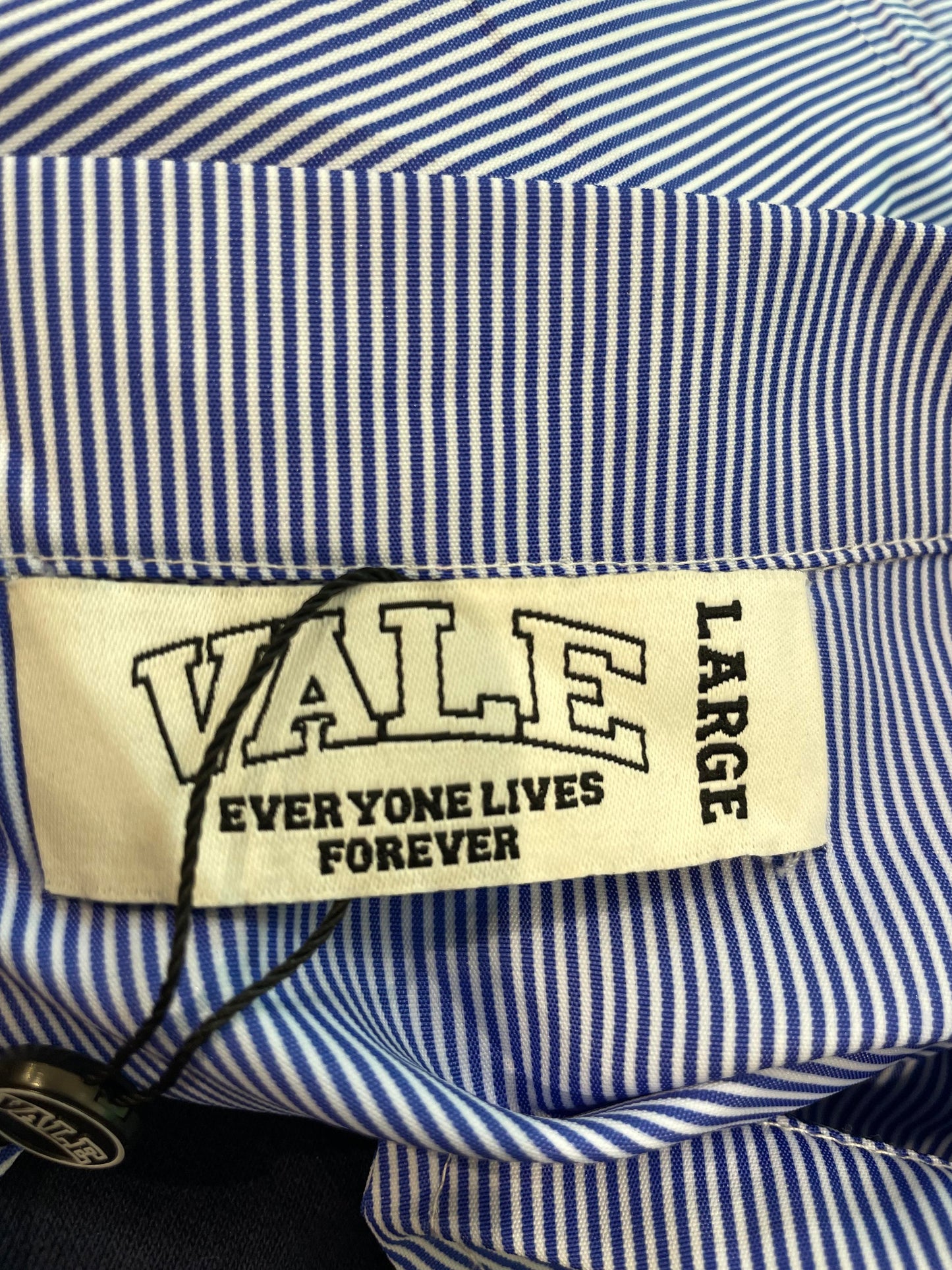 Vale Button Down Blue