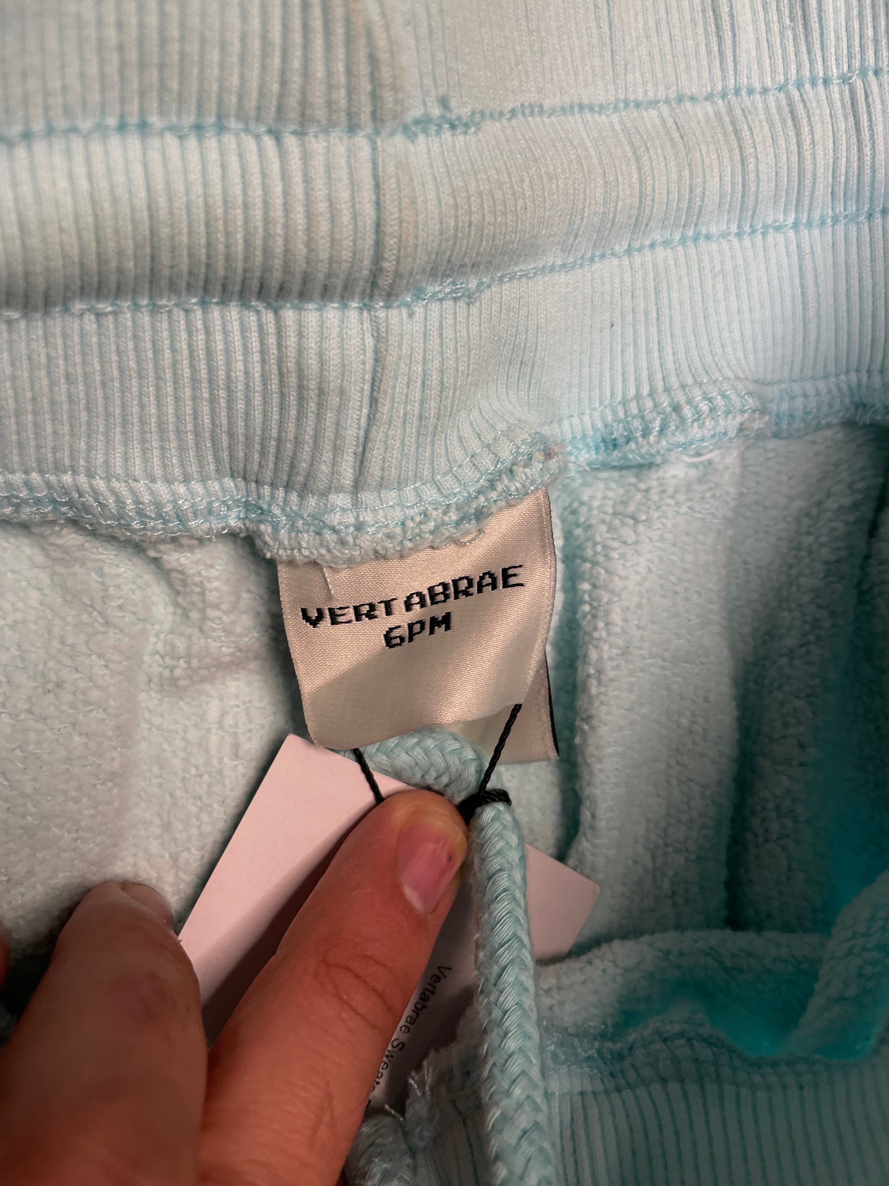 Vertabrae Blue & Pink Sweats