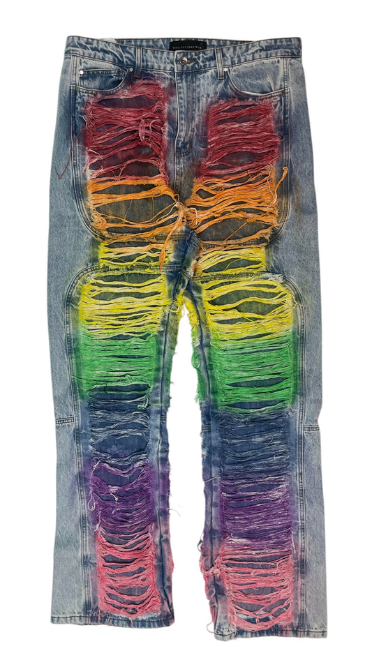 WDW Roygbiv Distressed Denim