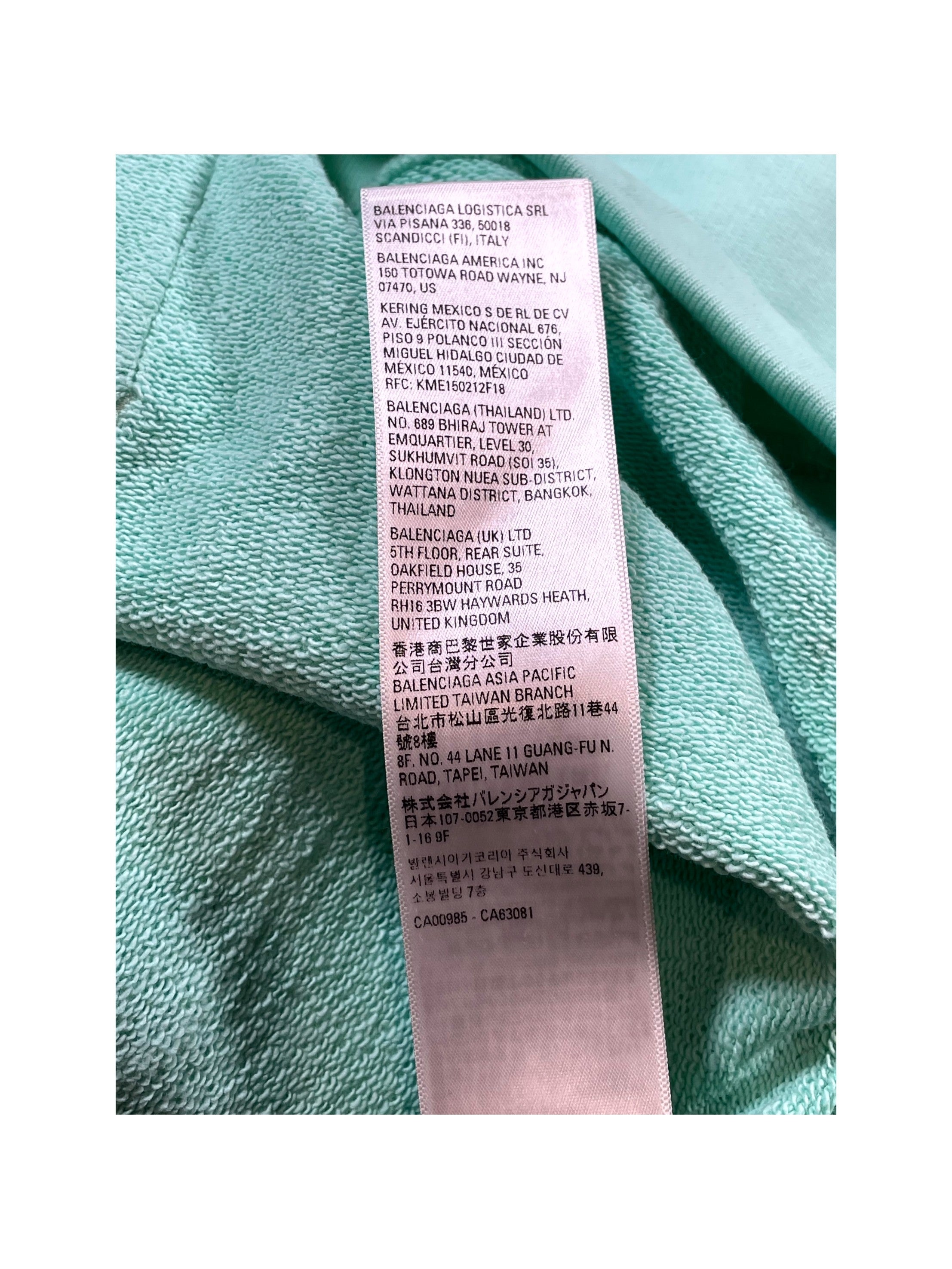 Balenciaga 'Campaign Logo' Mint Hoodie