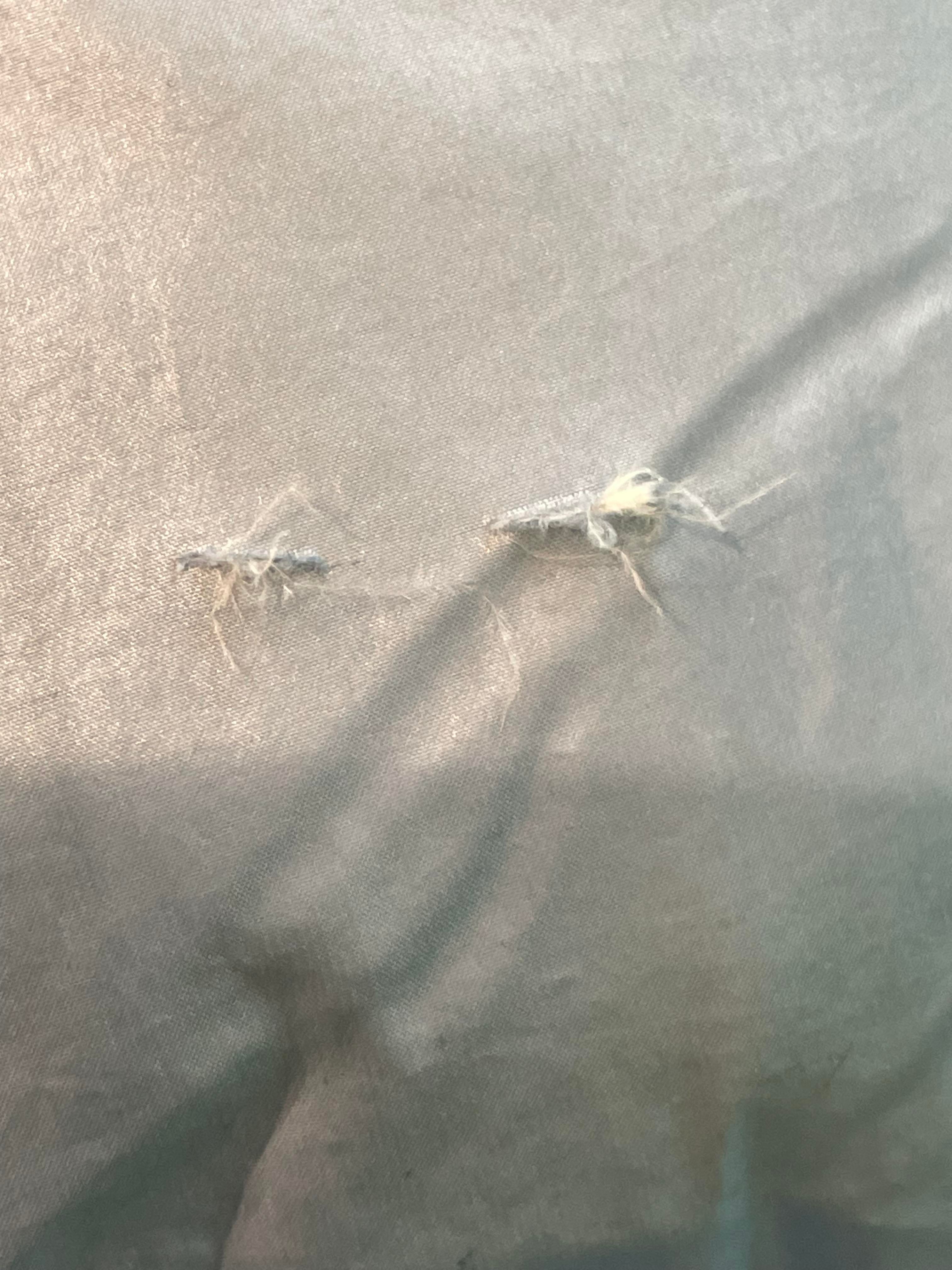 Moncler Blue & Black Puffer Coat Kids