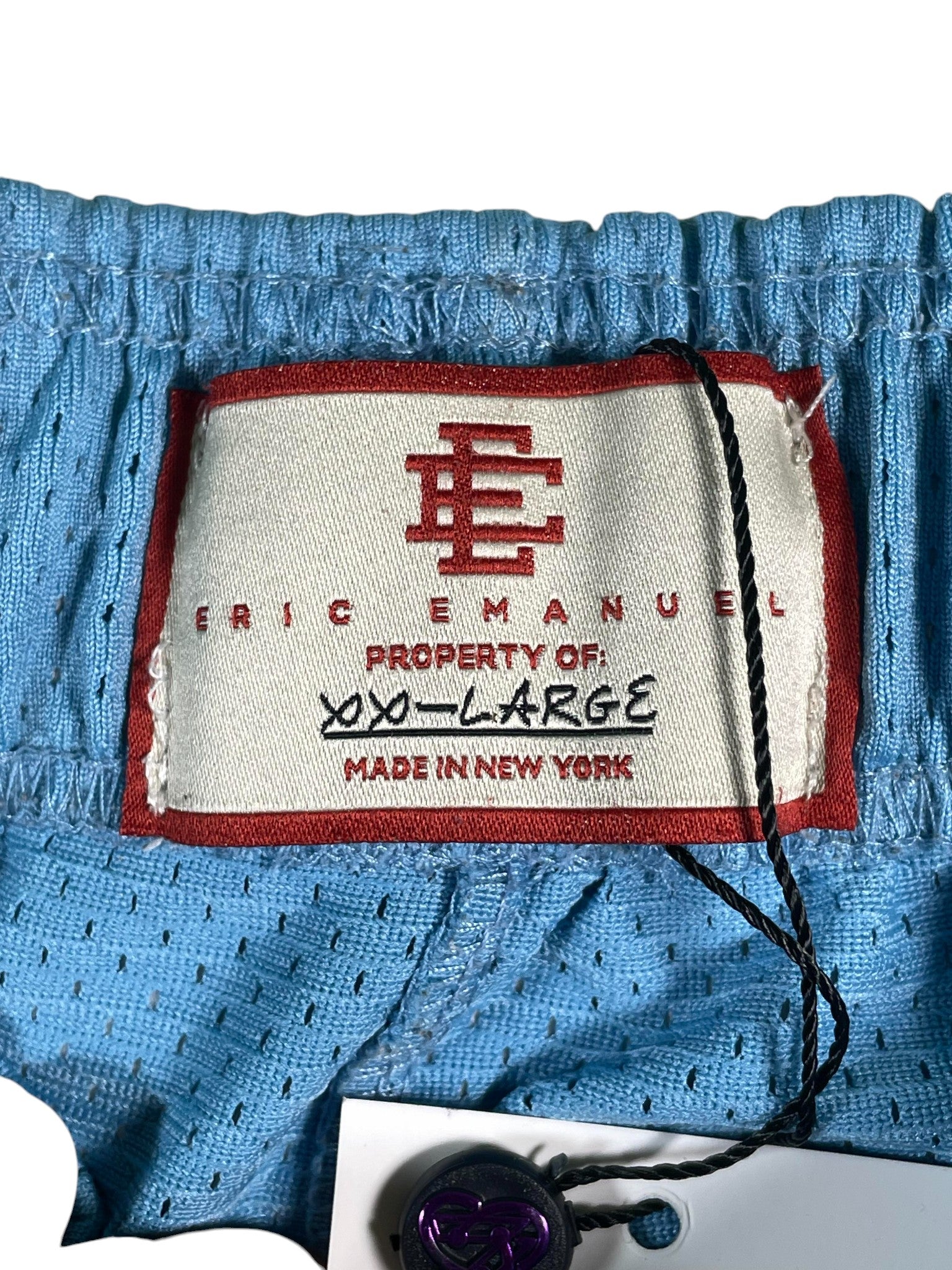 Eric Emanuel Baby Blue Bolt Shorts