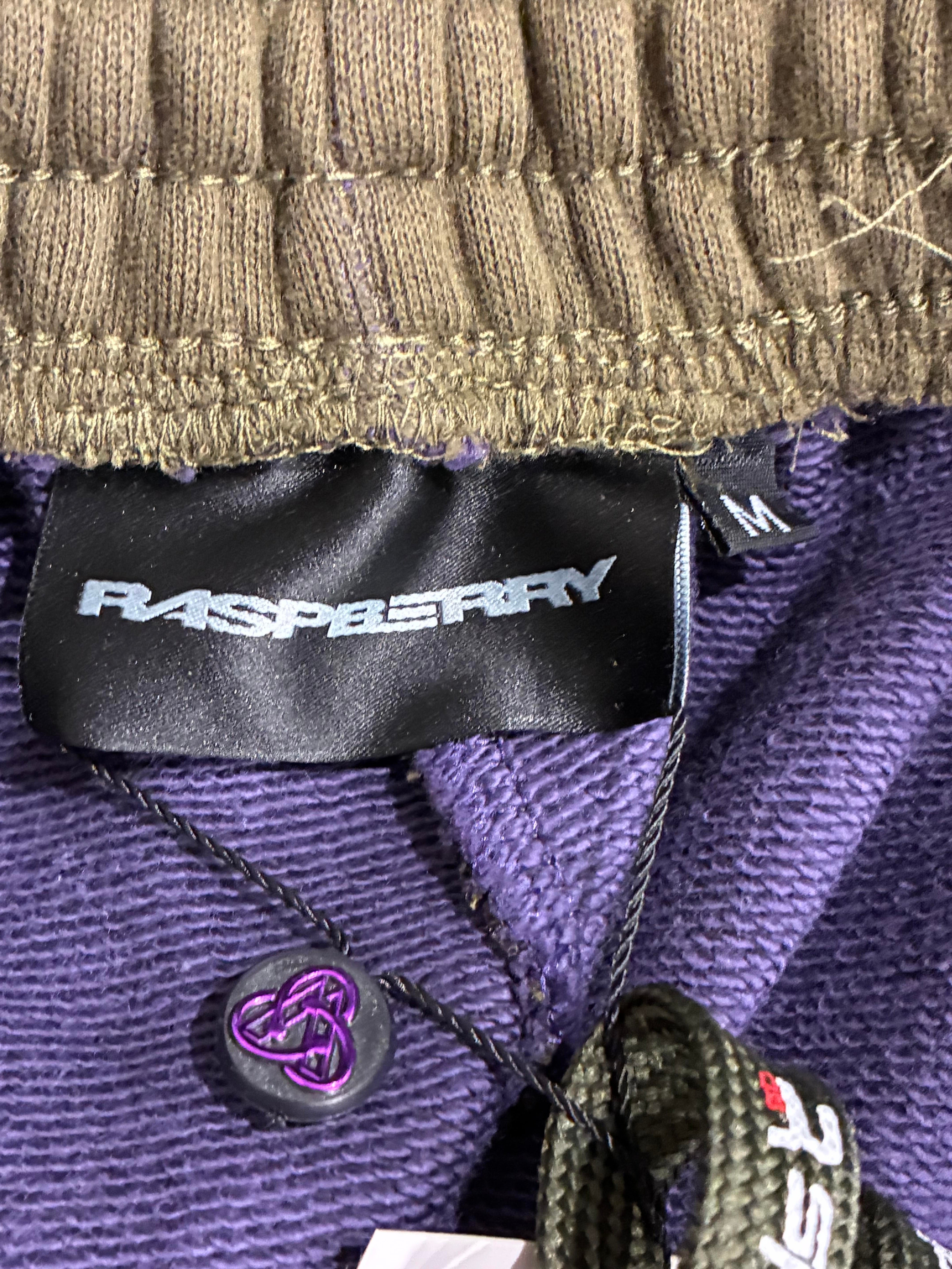 GV v2 Purple & Green Baggie Shorts