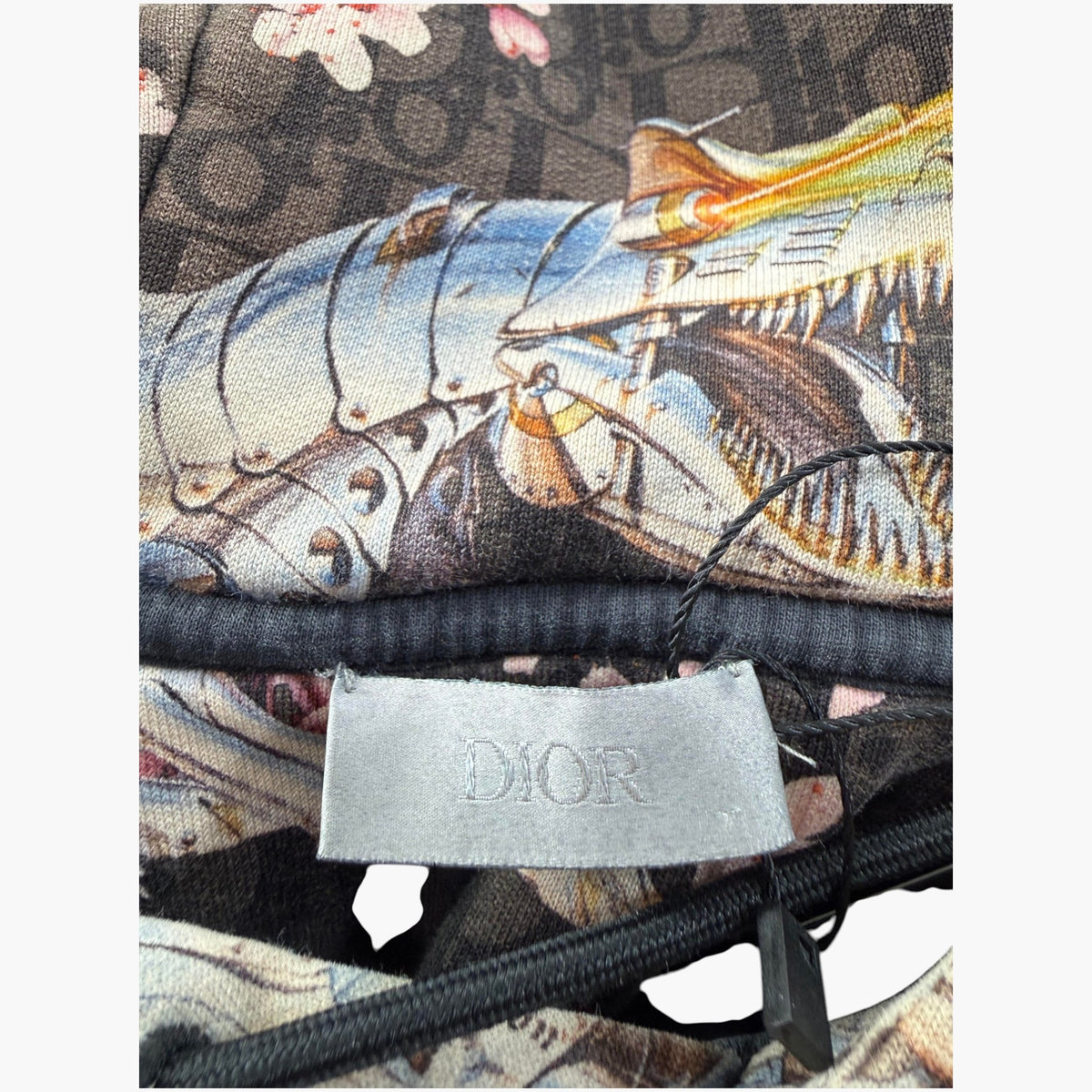 Dior Oblique Soyarama Brown Hoodie