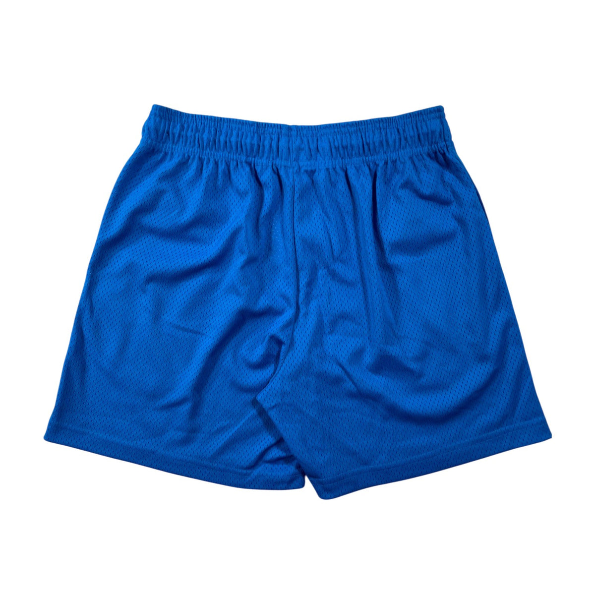 Eric Emanuel Basics Blue & Cream Shorts