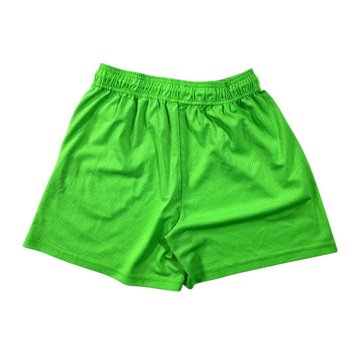 Eric Emanuel Basics Neon & Purple Shorts