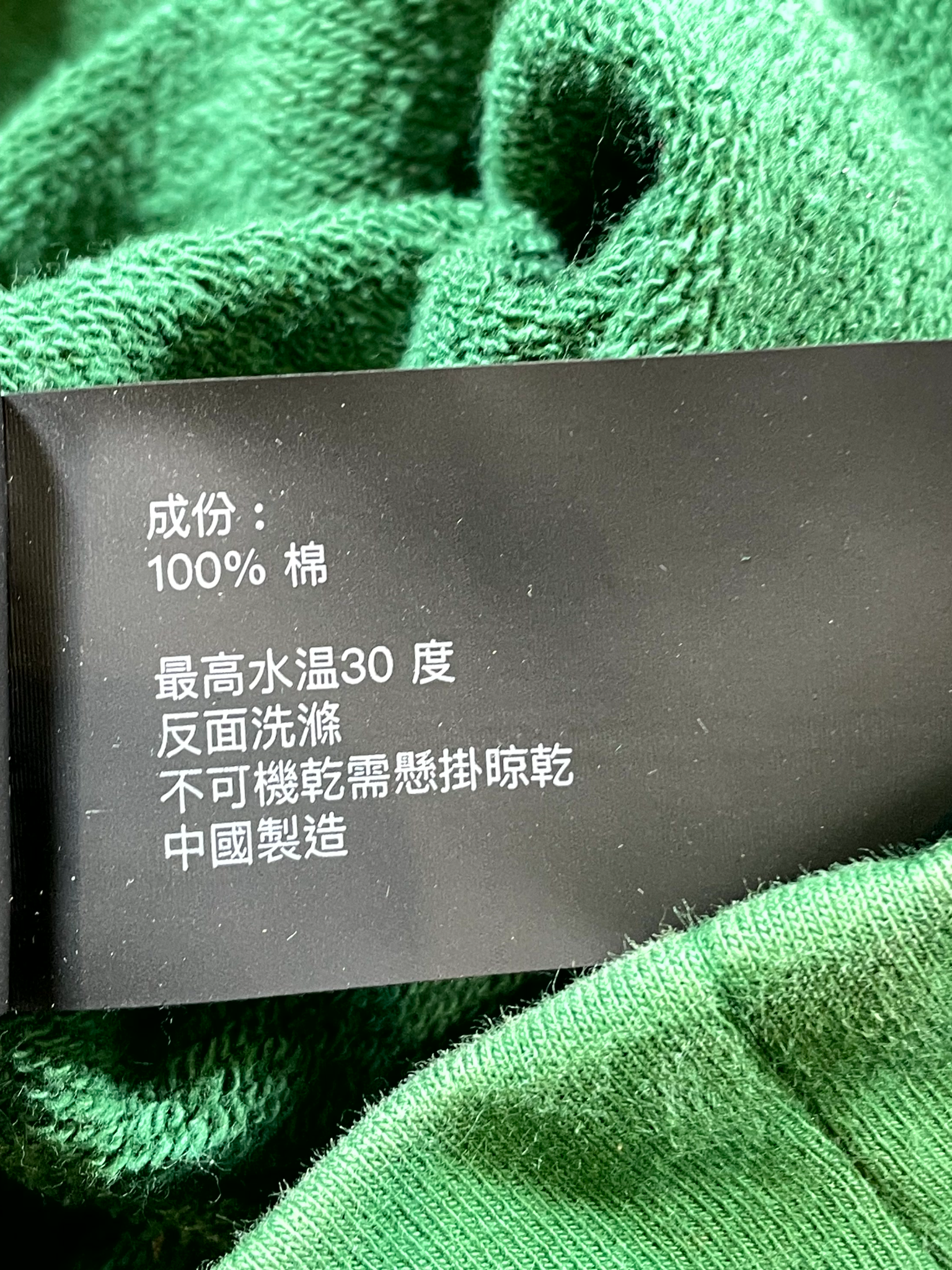 Purple Brand Logo Green Hoodie