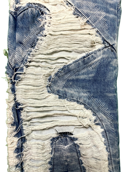 WDW Embroidered Denim Light Wash Jeans