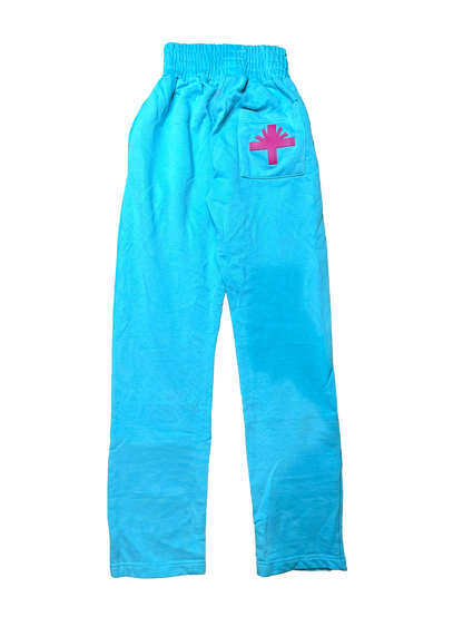 Vertabrae Baby Blue Pin Sweat Pants