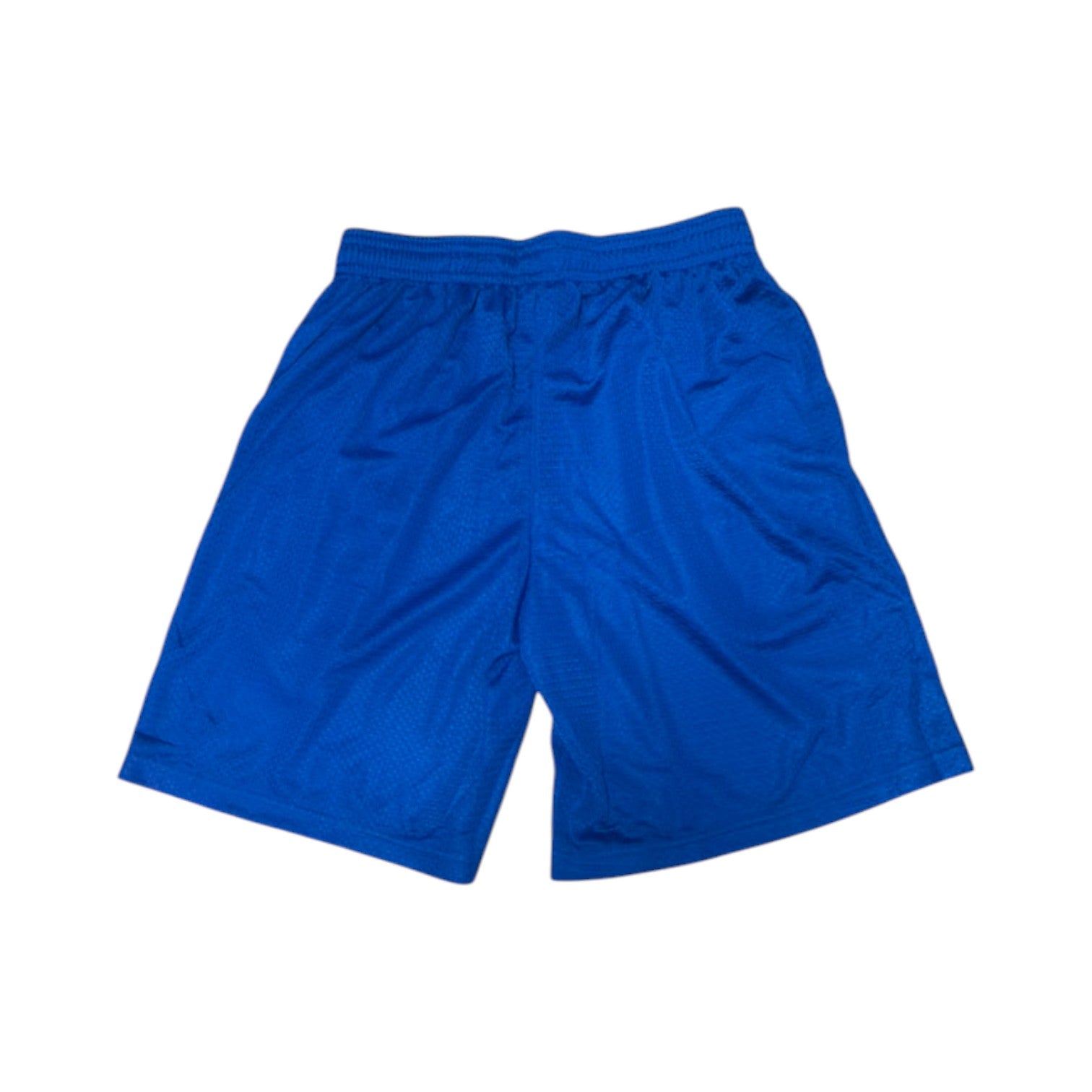 Bossi Blue Mesh Shorts